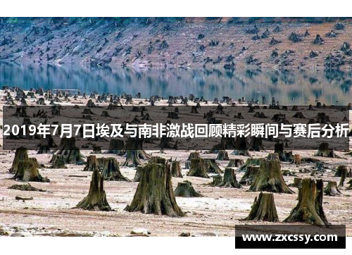 2019年7月7日埃及与南非激战回顾精彩瞬间与赛后分析